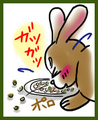 うさぎの日常☆7