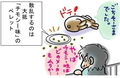 うさぎの日常☆7