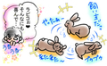 うさぎの日常☆8
