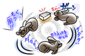 うさぎの日常☆8