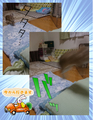 うさぎの日常☆8