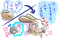 うさぎの日常☆９