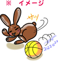 うさぎの日常☆９