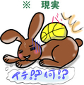 うさぎの日常☆９
