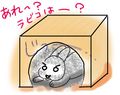 うさぎの日常☆９