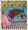 うさぎの日常☆９
