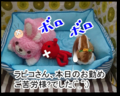 うさぎの日常☆９