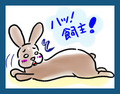 うさぎの日常☆９