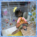 うさぎの写真☆1