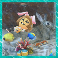 うさぎの写真☆2