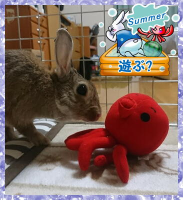 f:id:mininatan:20190925211548j:plain f:id:mininatan:20190925211548j:plain