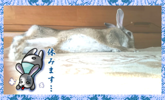 f:id:mininatan:20190925211603j:plain f:id:mininatan:20190925211603j:plain