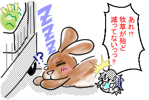 うさぎの日常☆10