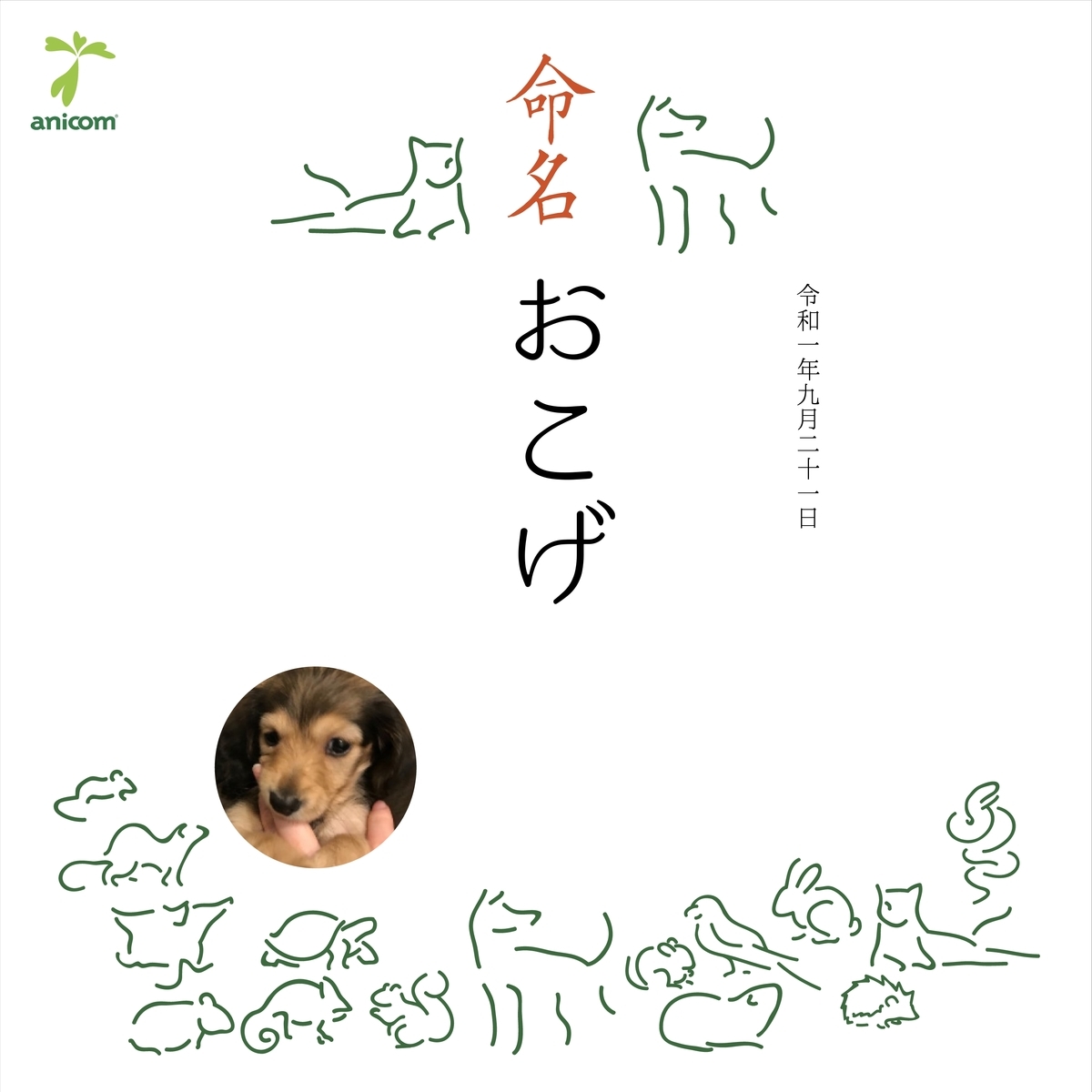 f:id:miniokoge:20191124210301j:plain