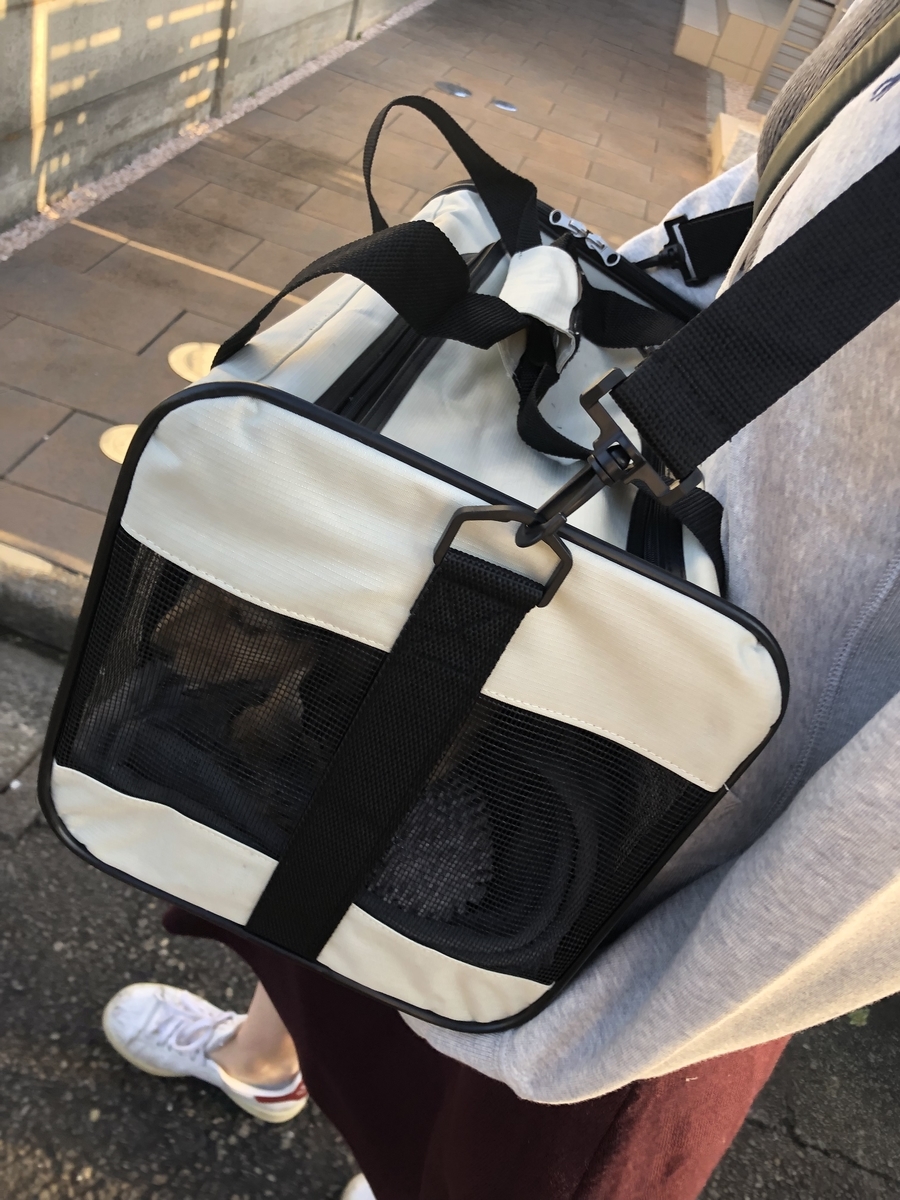 f:id:miniokoge:20191201005731j:plain