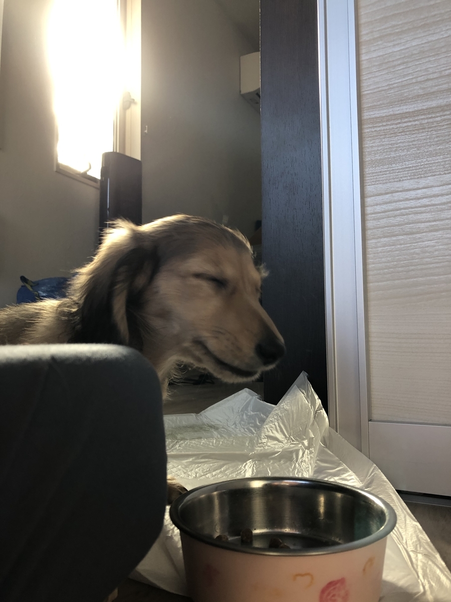 f:id:miniokoge:20200121183340j:plain