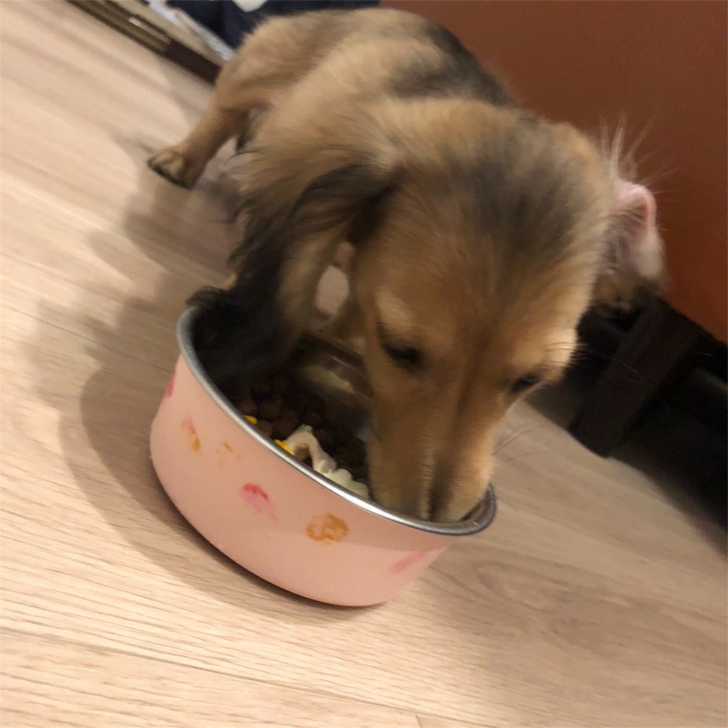 f:id:miniokoge:20200129114110j:image