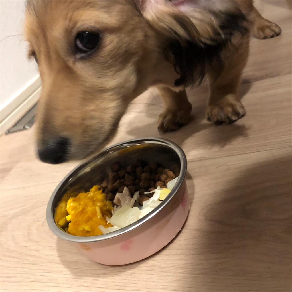 f:id:miniokoge:20200129114114j:image