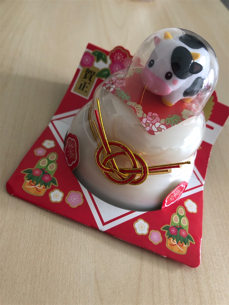 f:id:minion-oyako:20201216104418j:image