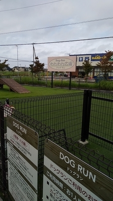 カインズホーム大利根店ドッグラン 大型と小型にわかれている広いドッグラン ミニピンまめ吉のちょこっと釣行記 カインズホーム大利根店ドッグラン 大型と小型にわかれている広いドッグラン ミニピンまめ吉のちょこっと釣行記