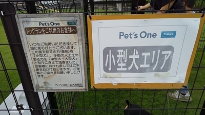 カインズホーム大利根店ドッグラン 大型と小型にわかれている広いドッグラン ミニピンまめ吉のちょこっと釣行記 カインズホーム大利根店ドッグラン 大型と小型にわかれている広いドッグラン ミニピンまめ吉のちょこっと釣行記
