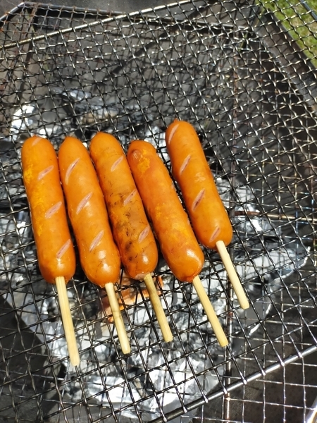 f:id:minipinmamekichi:20210507215337j:plain