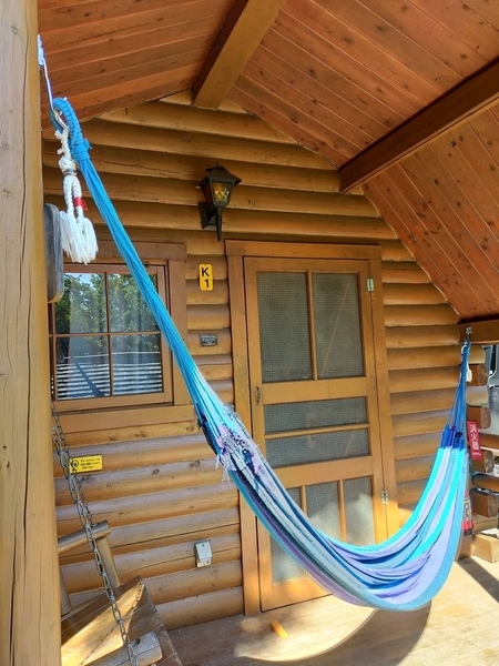 f:id:minipinmamekichi:20211010202537j:plain