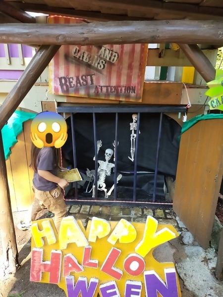 f:id:minipinmamekichi:20211014211710j:plain