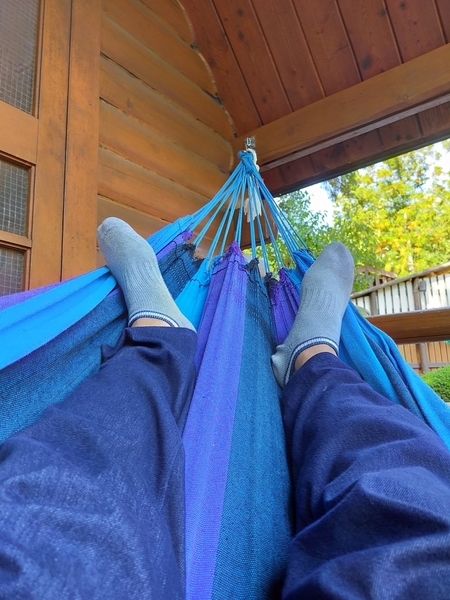 f:id:minipinmamekichi:20211014212101j:plain