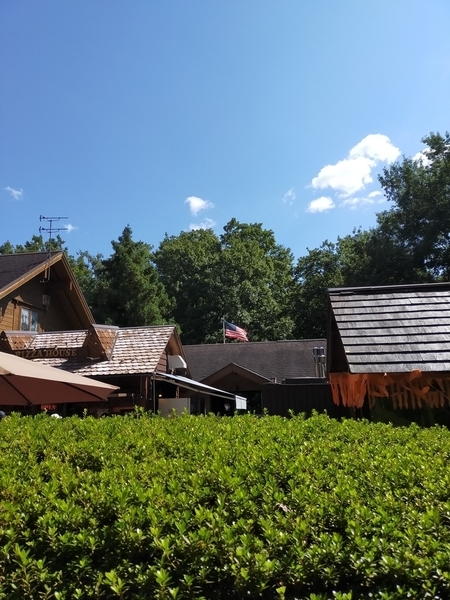 f:id:minipinmamekichi:20211014212123j:plain