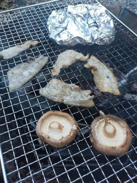 f:id:minipinmamekichi:20211014212150j:plain