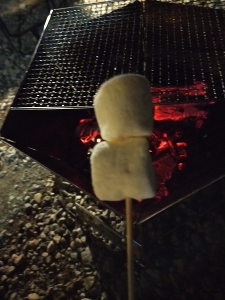 f:id:minipinmamekichi:20211014212218j:plain