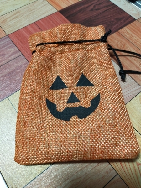 f:id:minipinmamekichi:20211014212521j:plain