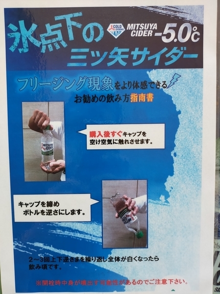 f:id:minipinmamekichi:20211019212132j:plain