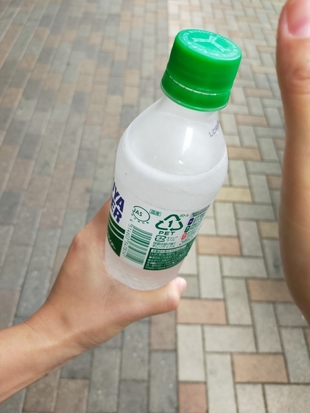 f:id:minipinmamekichi:20211019212238j:plain