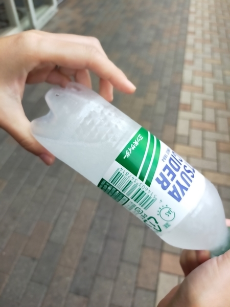 f:id:minipinmamekichi:20211019212312j:plain