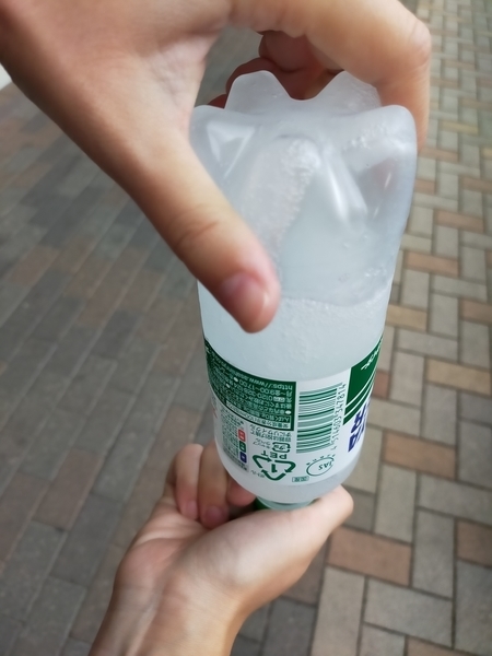 f:id:minipinmamekichi:20211019212345j:plain