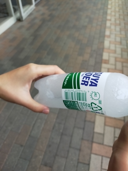 f:id:minipinmamekichi:20211019212442j:plain