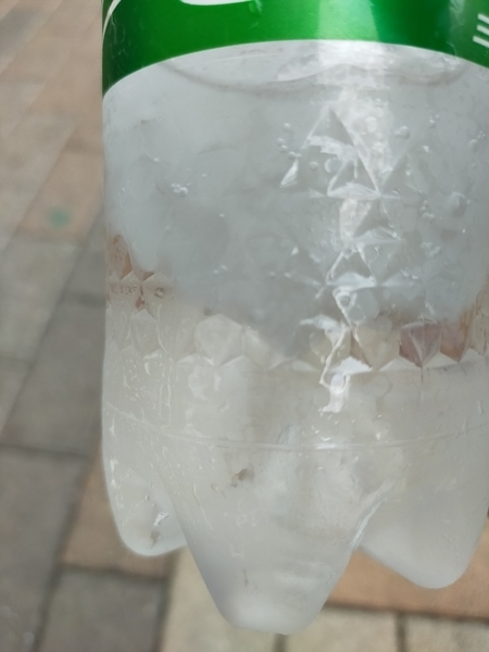 f:id:minipinmamekichi:20211019212711j:plain