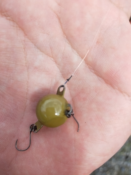 f:id:minipinmamekichi:20211024193615j:plain