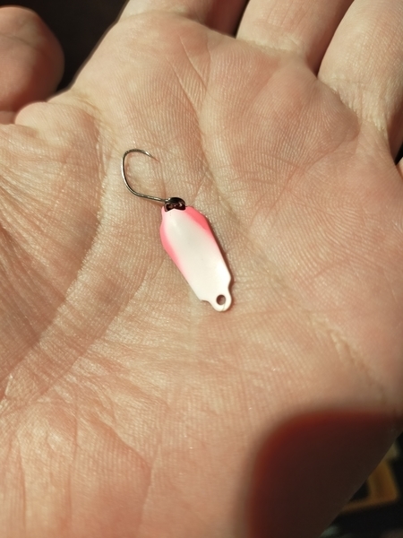 f:id:minipinmamekichi:20211029213530j:plain