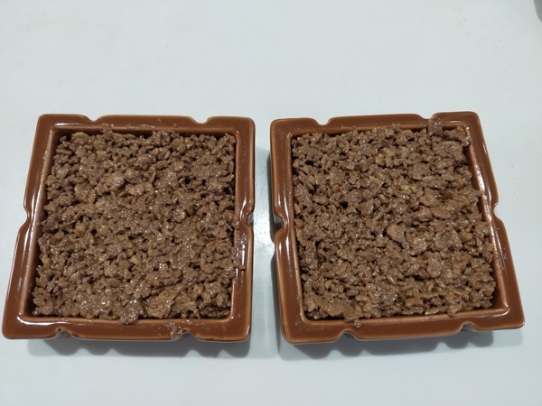 f:id:minipinmamekichi:20211103211228j:plain