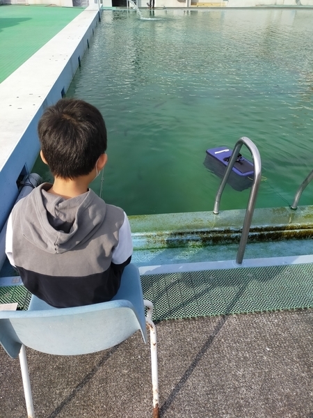 f:id:minipinmamekichi:20211204195517j:plain