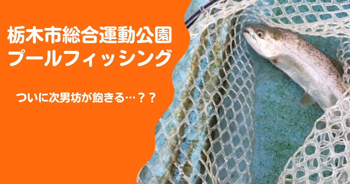 f:id:minipinmamekichi:20211204202408p:plain