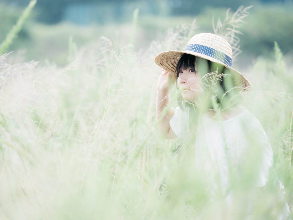 f:id:miniroom:20160826042344j:plain f:id:miniroom:20160826042344j:plain