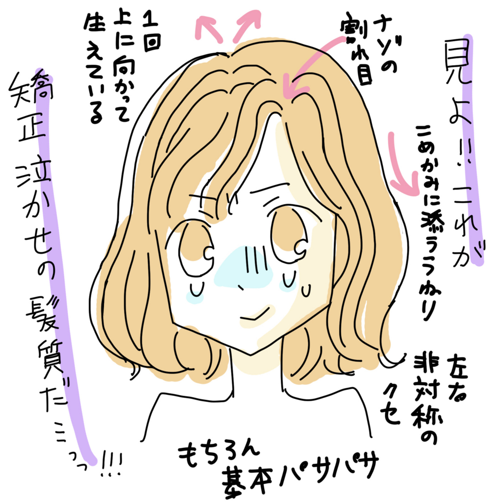 癖がさほど強くないわりにまったく矯正がかからない難儀な髪質でもまっすぐにしてくれる救世主的美容室 たぬきサマー