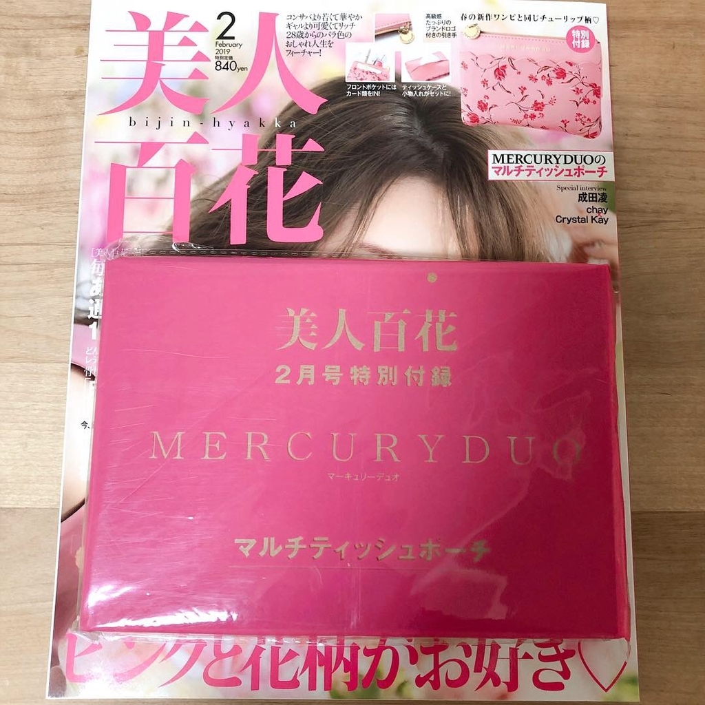 f:id:miniroom:20190112185900j:plain
