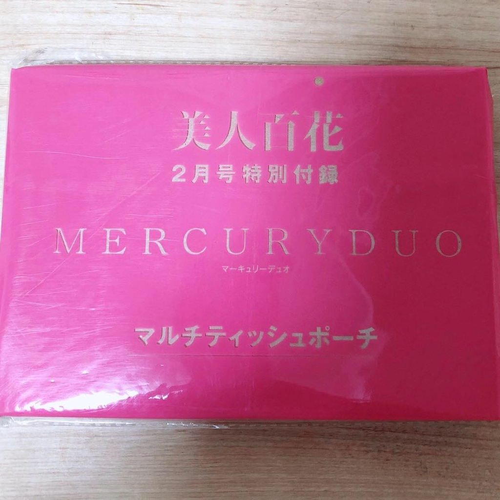f:id:miniroom:20190112185941j:plain