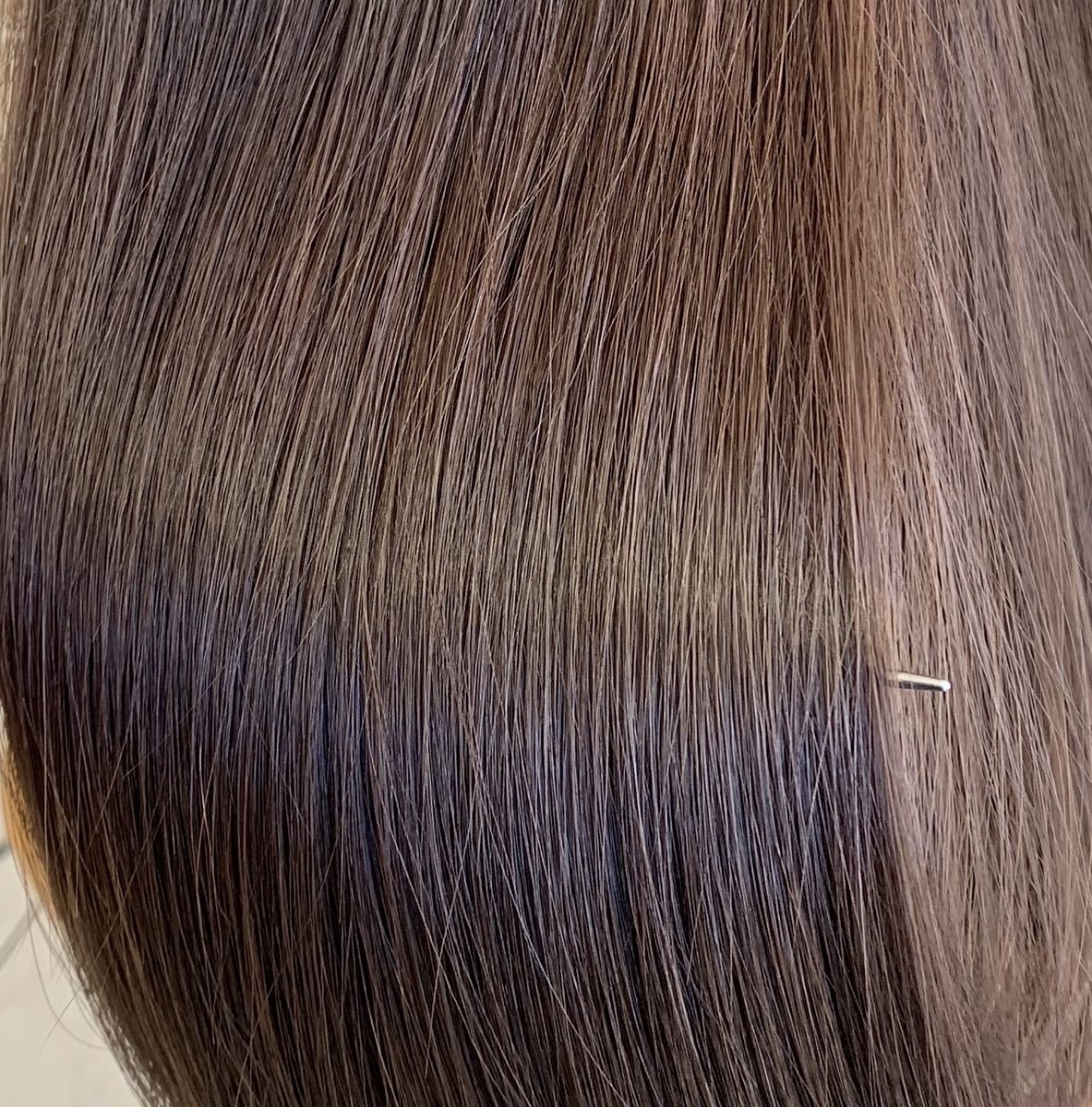 f:id:miniroom:20201214095336j:plain