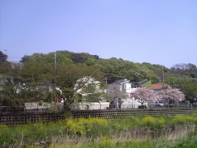 神明の森みつ池(喜多見) 武蔵野散策